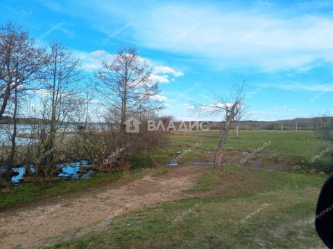 derevnya-inyutino-bogorodskiy-municipalnyy-okrug фото
