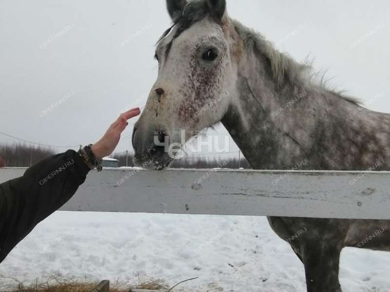 дом на Спортивная КП Новая деревня Владыкино