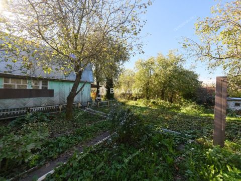 dacha-110 фото