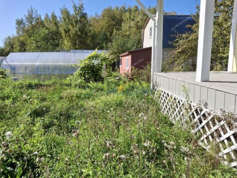 dacha-poselok-severnaya-kolta-bogorodskiy-municipalnyy-okrug фото
