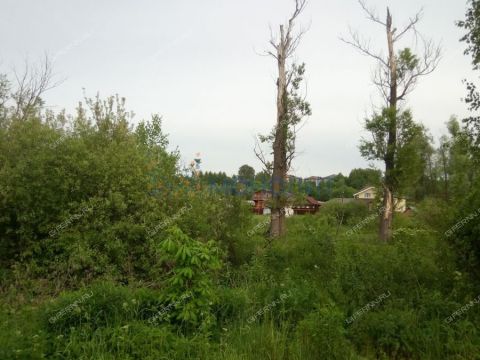 dom-selo-doskino-bogorodskiy-municipalnyy-okrug фото