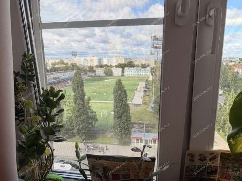 двухкомнатная квартира на проспекте Бусыгина дом 19