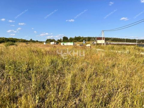 derevnya-inyutino-bogorodskiy-municipalnyy-okrug фото