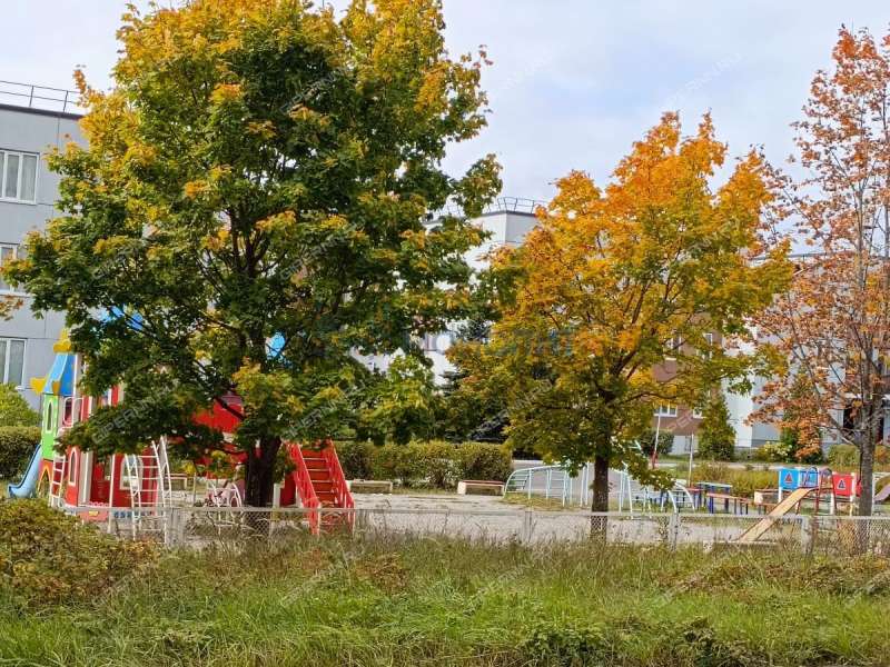 трёхкомнатная квартира на Танковой улице дом 20 посёлок Новосмолинский