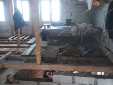 dom-selo-ichalki-perevozskiy-gorodskoy-okrug фото