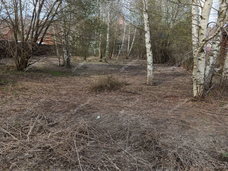 земельный участок 10,75 сотки Тиз Новое Покровское тер