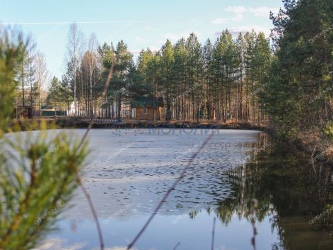 dom-poselok-kerzhenec-gorodskoy-okrug-bor фото