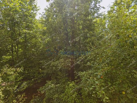 1-komnatnaya-per-kamchatskiy-d-4 фото