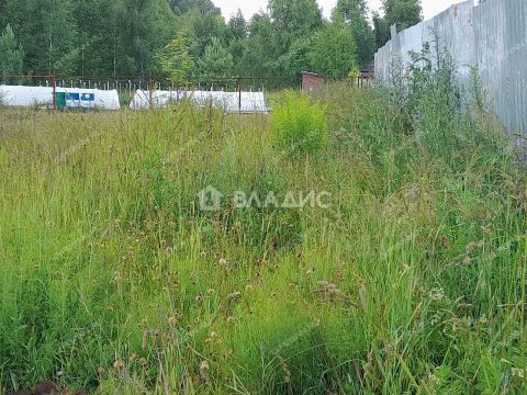 derevnya-shuklino-bogorodskiy-municipalnyy-okrug фото