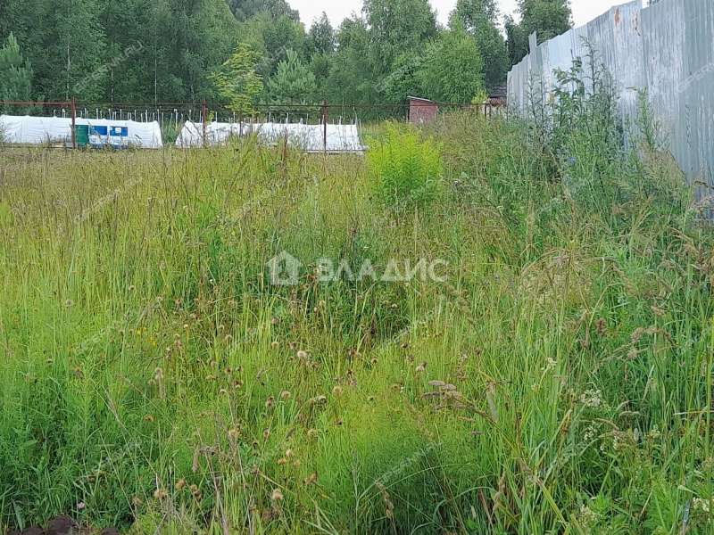 земельный участок 8,98 сотки деревня Шуклино