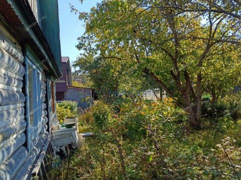 dacha-derevnya-strahovo-gorodskoy-okrug-bor фото