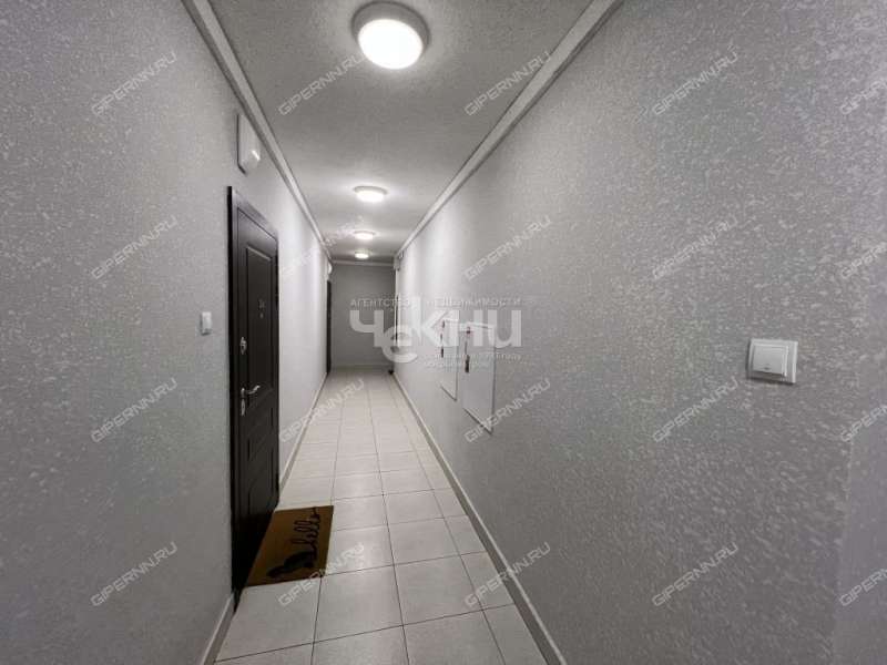 однокомнатная квартира на Русская ул дом 9 Анкудиновка