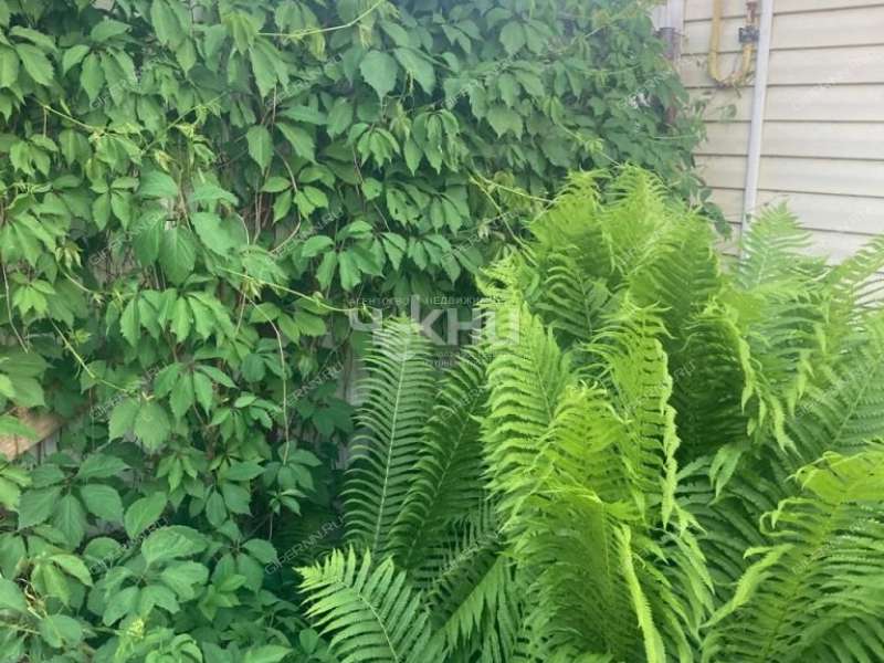 дом на Ново Луговая рабочий посёлок Большое Мурашкино