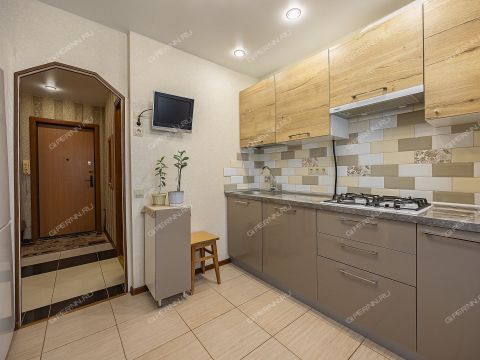 1-komnatnaya-ul-brinskogo-d-1 фото