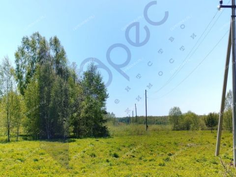 derevnya-berezovo-sokolskiy-gorodskoy-okrug фото