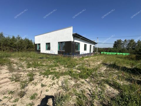 dom-derevnya-berezovka-bogorodskiy-municipalnyy-okrug фото