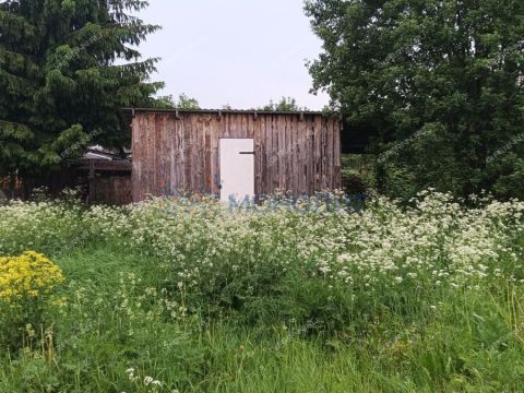 derevnya-tyazheluhino-gorodskoy-okrug-chkalovsk фото