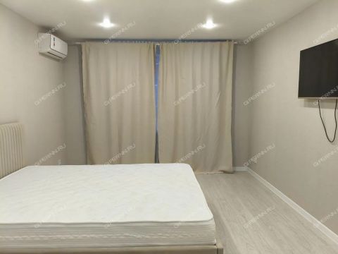 1-komnatnaya-ul-1-ya-oranzhereynaya-d-24a фото