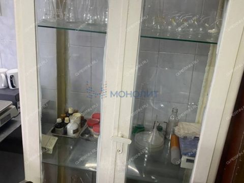 selo-bolshaya-elnya-kstovskiy-rayon фото