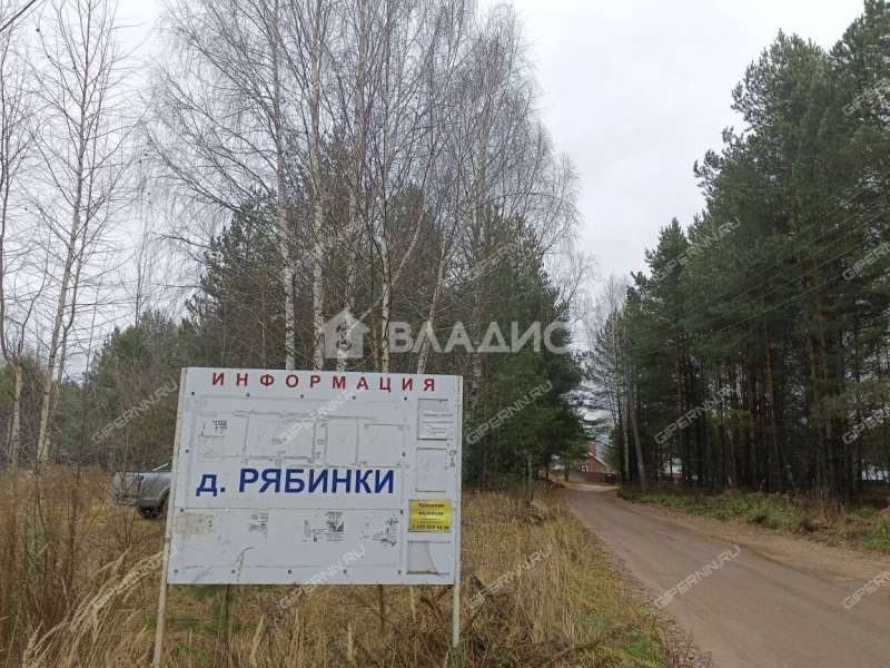 земельный участок 19 соток деревня Рябинки