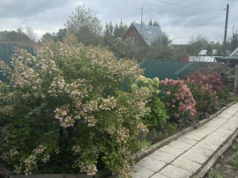дом на Центральной улице село Лакша