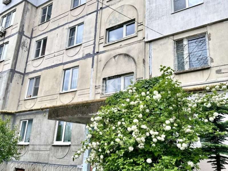 трёхкомнатная квартира на Зелёной улице дом 65 деревня Афонино