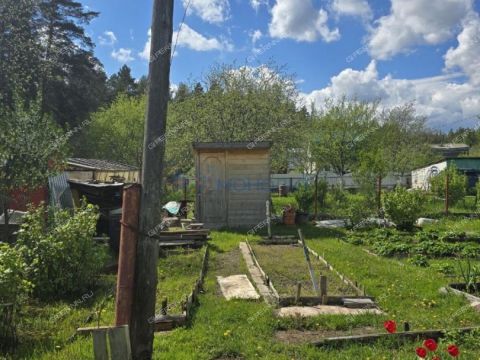 ozon-derevnya-strahovo-sitnikovskiy-selsovet-ter-snt-gorodskoy-okrug-bor фото