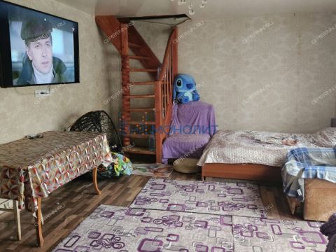 dom-tsn-serebryanye-klyuchi-park-dalnekonstantinovskiy-rayon фото