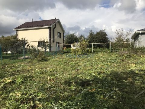 zolotoe-runo-derevnya-ogolihino-ter-snt-gorodskoy-okrug-bor фото