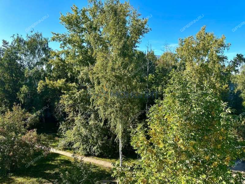 двухкомнатная квартира на проспекте Ленина дом 51/2