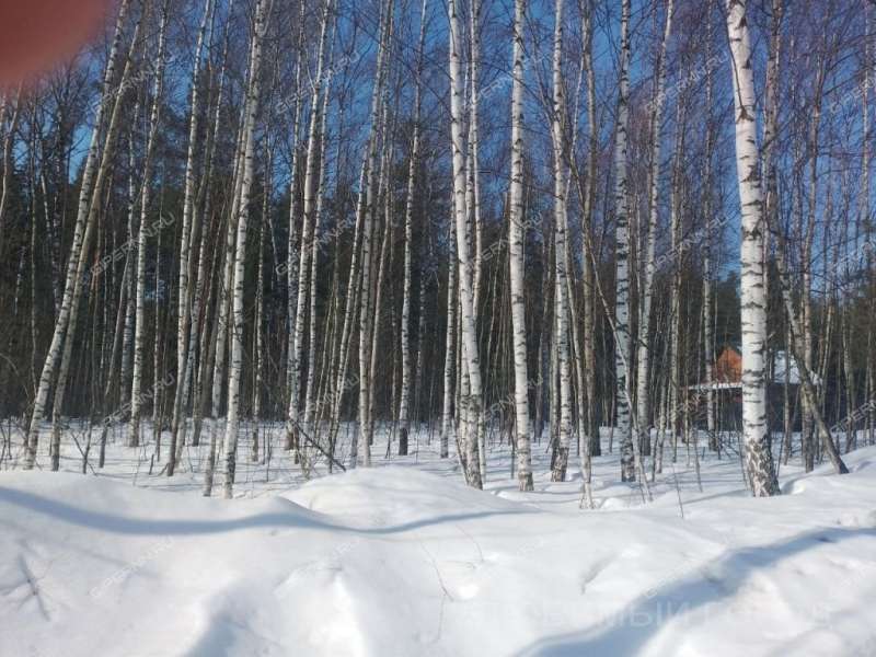 земельный участок 10,1 сотки Березовая пойма п