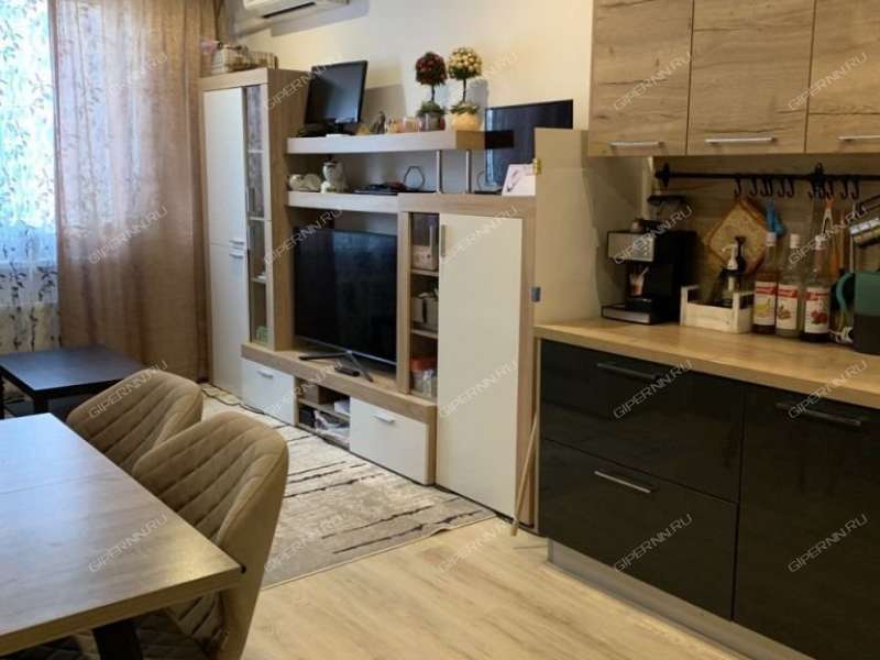 двухкомнатная квартира на Русской улице улице дом 9 деревня Анкудиновка