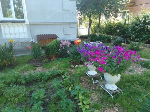 2-komnatnaya-ul-rimskogo-korsakova-d-43 фото