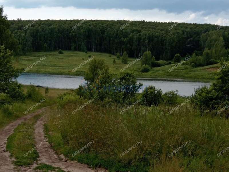 земельный участок 10 соток Ясная улица село Ефимьево