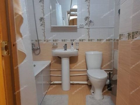 1-komnatnaya-ul-nizhne-pecherskaya-d-15 фото