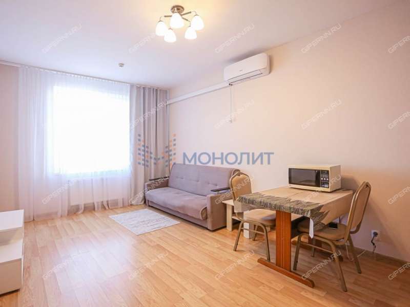 однокомнатная квартира на Русской улице улице дом 4 деревня Анкудиновка