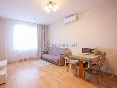 1-komnatnaya-derevnya-ankudinovka-kstovskiy-rayon фото