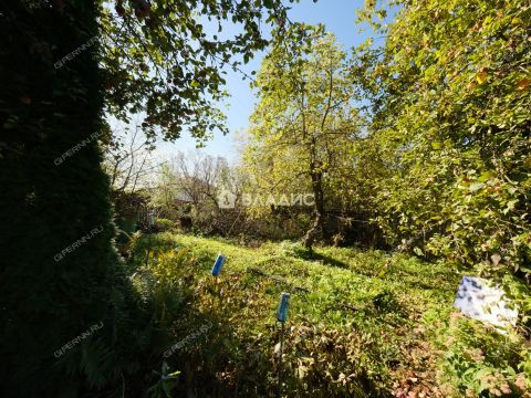 dacha-110 фото