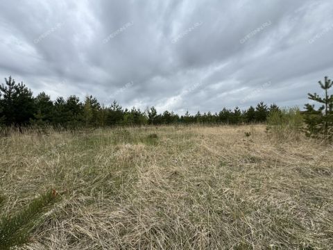 derevnya-nepecino-bogorodskiy-municipalnyy-okrug фото