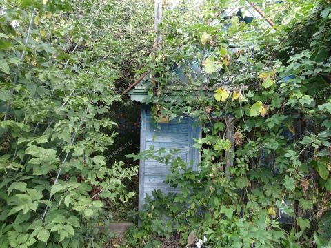 dacha-ul-bolotnikova-d-65 фото