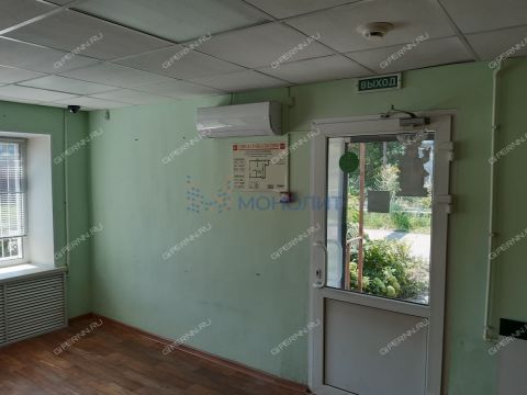 derevnya-berezovka-bogorodskiy-municipalnyy-okrug фото