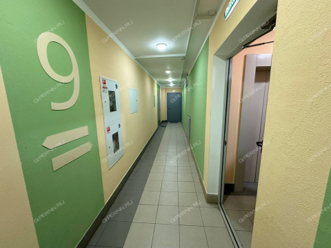 2-komnatnaya-ul-mechtateley-d-4 фото