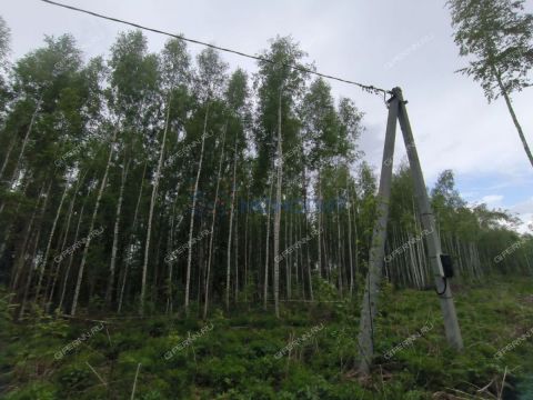 derevnya-besedy-gorodskoy-okrug-chkalovsk фото