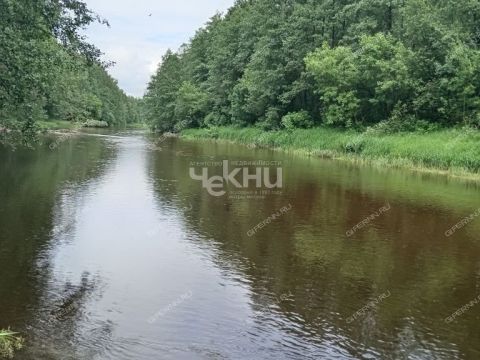 dom-derevnya-koskovo-gorodeckiy-rayon фото