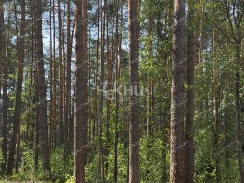 земельный участок 122 сотки Борский р-н Бор