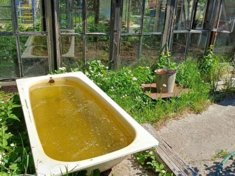 dacha-rabochiy-poselok-lukino-balahninskiy-municipalnyy-okrug фото