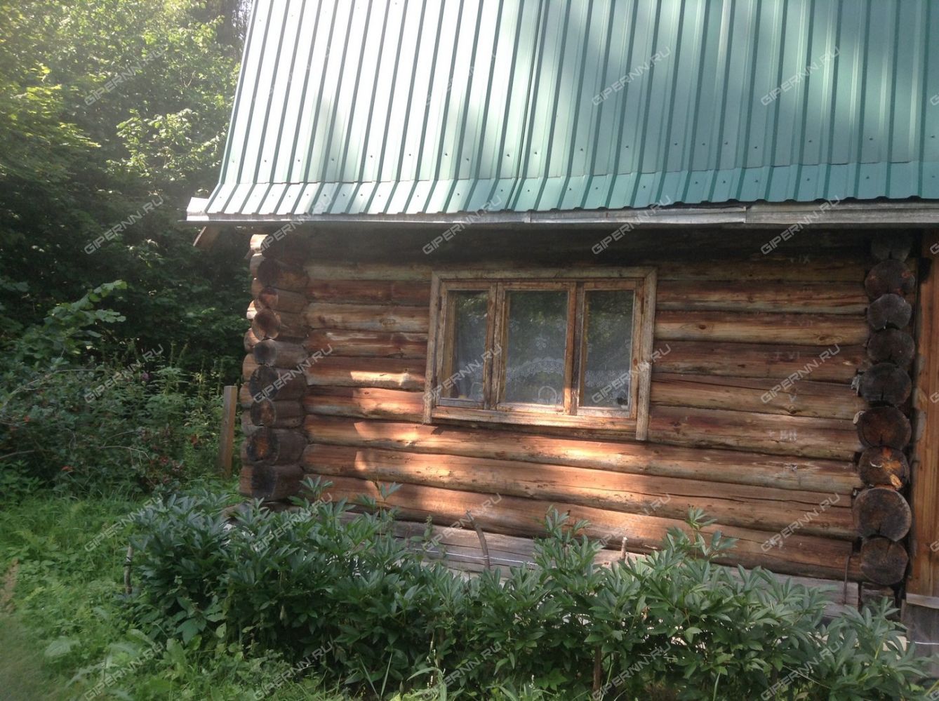 Дача в семеновском районе. Снт кеза. Дачи семеновского направления. Дача в семеновском районе. Дача в семеновском районе.