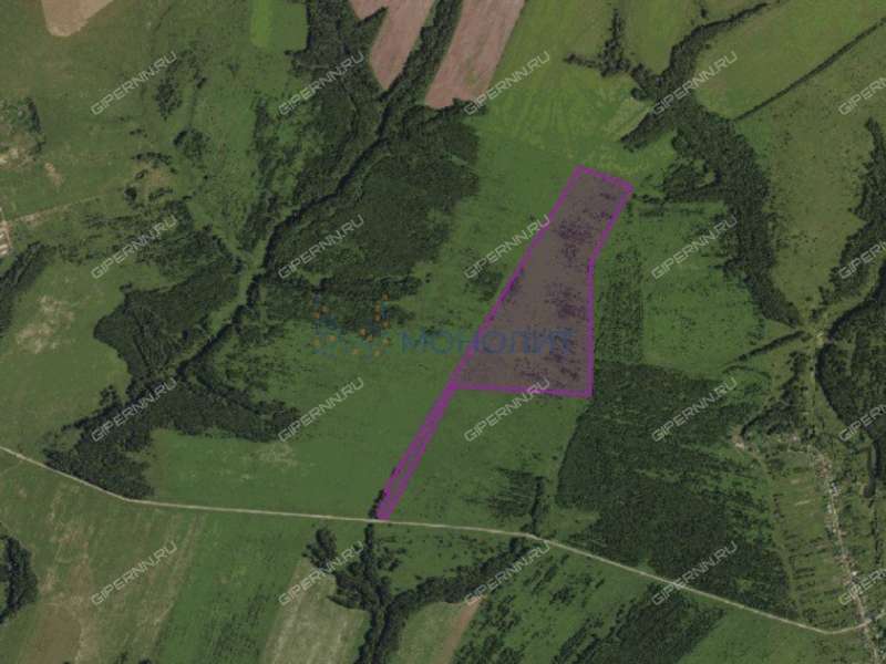 земельный участок под сельхоз назначение в Дивеевском районе Нижегородской области