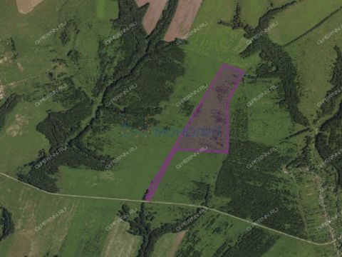 selo-diveevo-diveevskiy-municipalnyy-okrug фото