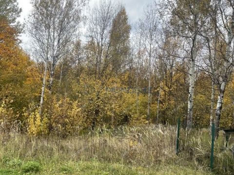 derevnya-bugry-dalnekonstantinovskiy-rayon фото